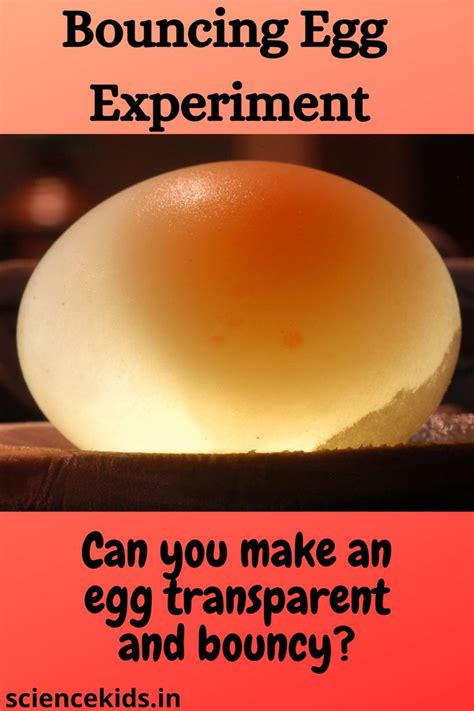 egg in vinegar experiment results|Egg in Vinegar Experiment .